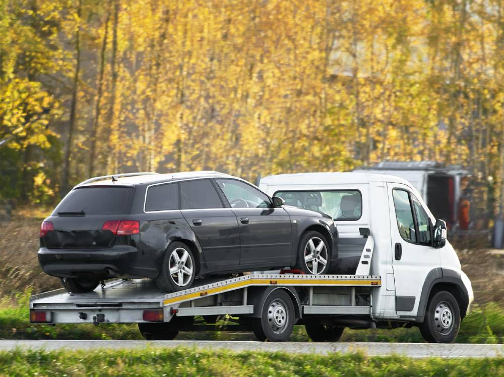 WA Auto Wreckers Pty Ltd photo 1